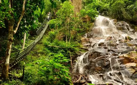 Canindey�, un destino imperdible para conocer las Reservas Naturales del Paraguay