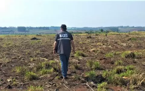C�digo Ambiental, una tarea pendiente que tiene el Ejecutivo desde hace 20 a�os