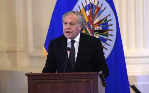 OEA pidi� al Tribunal Constitucional de Per� que se garanticen las elecciones 2021