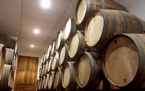 Buenas perspectivas para los vinos argentinos