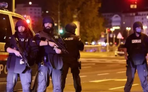 Viena: un muerto y varios heridos en un "repulsivo atentado terrorista"