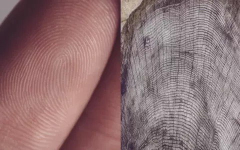 M�s all� de la naturaleza del cuerpo humano y la biodiversidad