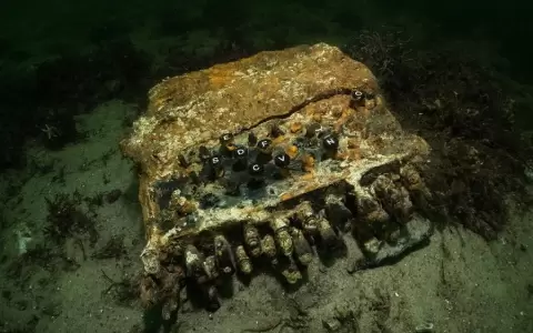 Buzos rescatan del Mar B�ltico legendaria m�quina "Enigma" de los nazis