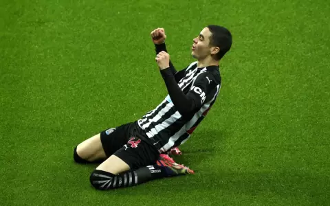 Gol de Miguel Almir�n en la victoria de Newcastle sobre Albion