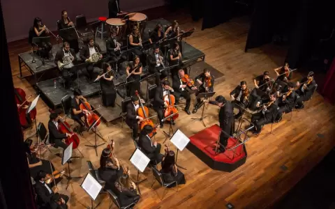 Ballet y sinfon�a en gala navide�a