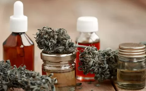 Ejecutivo no transparenta cifras de millonaria industria del cannabis medicinal, denuncian