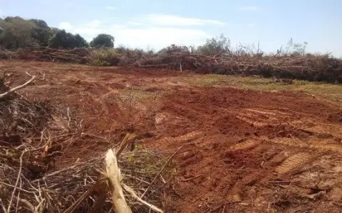 Esperan que Diputados apruebe ley de "deforestaci�n cero" este mi�rcoles