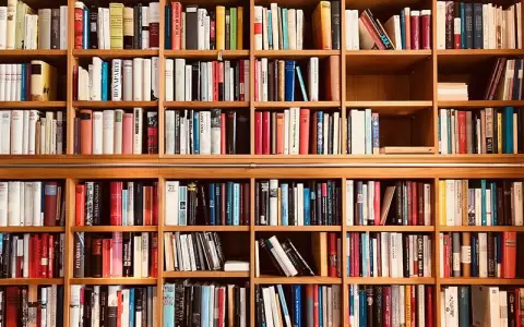 EPA organiza Festival Navide�o de Literatura
