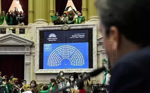 El aborto legal en la Argentina tuvo media sanci�n