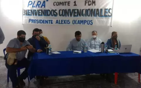 Convencionales liberales recurrir�n al TSJE para confirmar desdoblamiento de elecciones