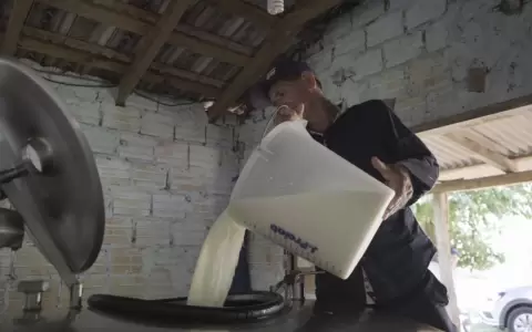 La leche, alimento esencial y econ�mico para todas las edades