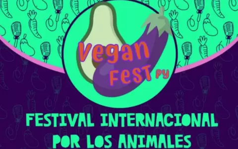Veganfest Paraguay 2020, gastronom�a vegana y arte