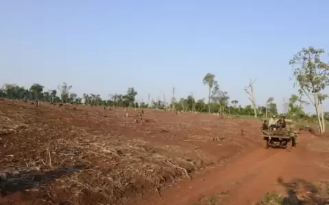 Congreso a punto de dejar medio ambiente sin ley de "deforestaci�n cero"