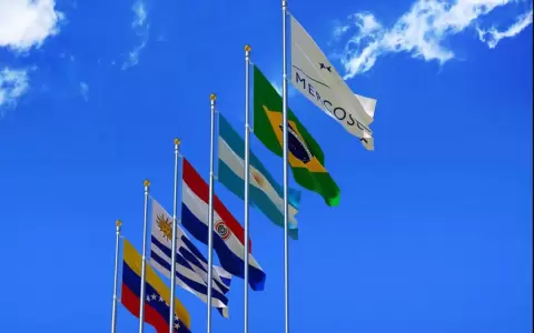Comienza en forma virtual la Cumbre del Mercosur