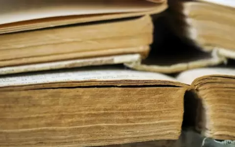 Curso online de lectura cr�tica