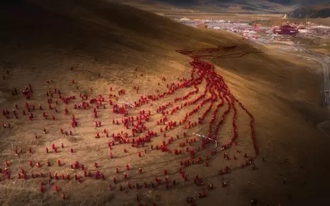 Premio Internacional de Fotograf�a Sony