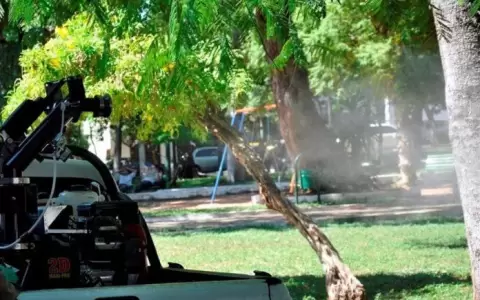 Si el Senepa fumiga frente a la casa hay notificaciones de dengue en tu barrio