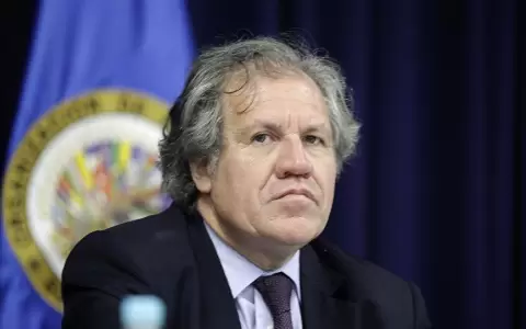 PARLASUR investigar� rol de la OEA y Almagro en crisis boliviana de 2019