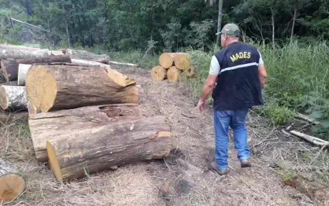 Aprueban prorrogar por 10 a�os vigencia de ley �Deforestaci�n Cero" para la regi�n Oriental