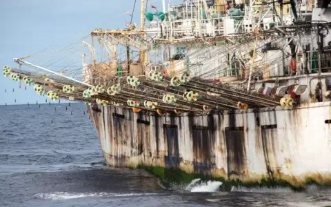 Alertan sobre la presencia de cientos de pesqueros chinos en zona econ�mica exclusiva argentina