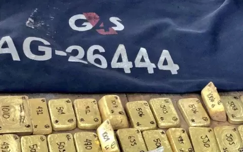 El oro de las FARC fue subastado