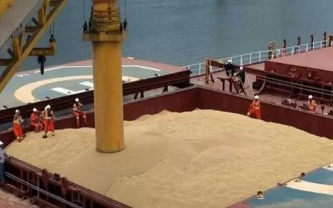 Env�os de soja ya reportaron US$ 2.070 millones