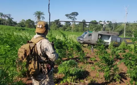 Sancionan plan de carrera para agentes especiales de la SENAD