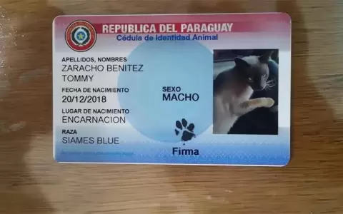 Mascotas podr�n volver a tener c�dula: Fiscal�a revi� ins�lita incautaci�n