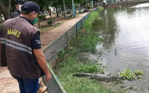 MADES interviene comuna de It� por manejo irregular de animales silvestres