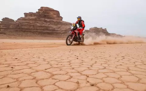 Dakar: Sunderland gana la pen�ltima etapa, Benavides contin�a l�der y Barreda abandona
