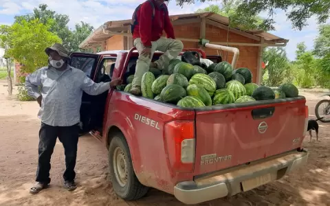 Ind�genas logran buena producci�n de sand�a en el Chaco