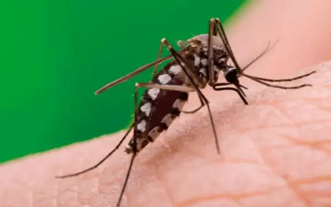 Primera v�ctima de dengue es un joven de 19 a�os
