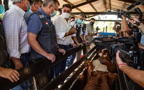 Lanzan primer periodo de vacunaci�n contra Fiebre Aftosa y Brucelosis Bovina