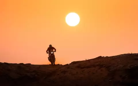 Dakar: Cornejo y Peterhansel se mantienen l�deres tras la etapa 8