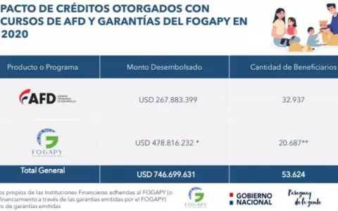 AFD inyect� US$ 746 millones durante pandemia