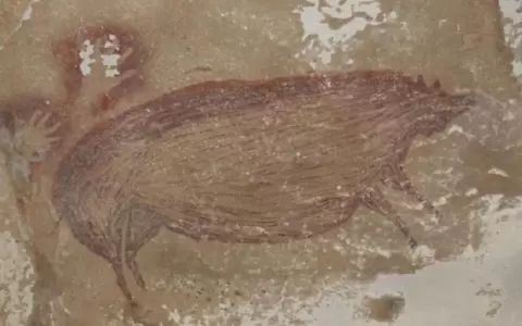 La pintura rupestre de un animal es la m�s antigua del mundo