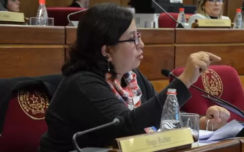 Caso Alegre: �Nuevo Plan C�ndor con mismo m�todo de represi�n�, dice legisladora