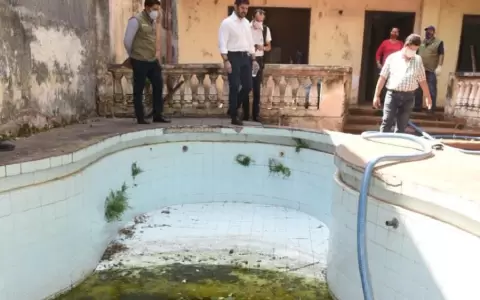 Dengue: c�mo cuidar piscinas para que no sean focos de Aedes aegypti