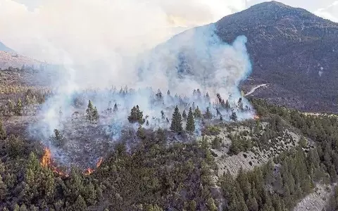 A una semana del incendio en El Bols�n, Argentina