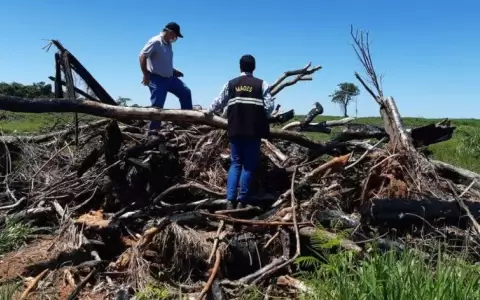 Siguen desmontes en Regi�n Oriental pese a Ley de Deforestaci�n Cero