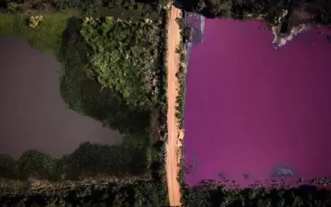 Ordenan prisi�n preventiva para imputado por contaminar la Laguna Cerro