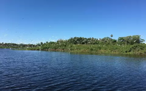 Humedales: ecosistemas que necesitamos proteger como fuente de vida