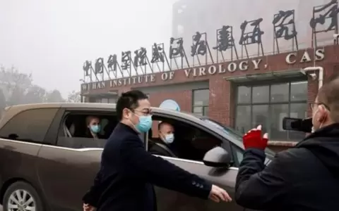 Culmina misi�n de la OMS en Wuhan, China