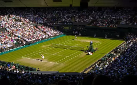 Wimbledon estudia la opci�n de admitir p�blico en los partidos