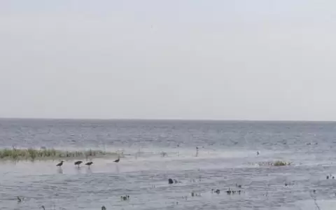 Ascenso de 1,60 m registra la Cuenca del lago Ypacara� con respecto al a�o pasado