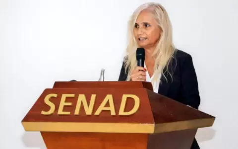 Ejecutivo confirm� a Zully Rol�n como ministra de la Senad