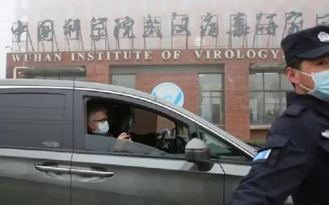 Los expertos de la OMS investigan el origen del virus en Wuhan