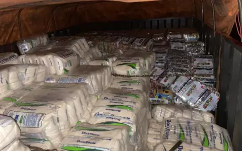 Decomisan gran cantidad de az�car de contrabando en Caazap�