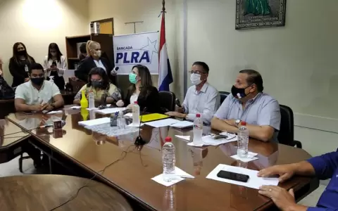 Diputados opositores presentan borrador del libelo acusatorio contra Mario Abdo y Vel�zquez