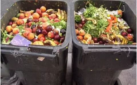 Cerca de mil millones de toneladas de alimentos se tiran en el mundo